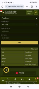 Screenshot_2024-01-02-19-48-21-211_com.android.chrome.jpg