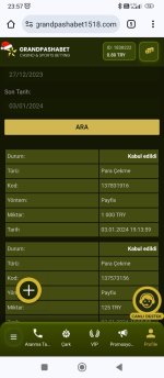 Screenshot_2024-01-03-23-57-56-774_com.android.chrome.jpg