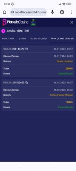 Screenshot_2024-01-06-13-52-57-245_com.android.chrome.jpg
