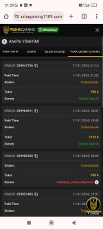 Screenshot_2024-01-11-21-25-12-518_com.android.chrome.jpg