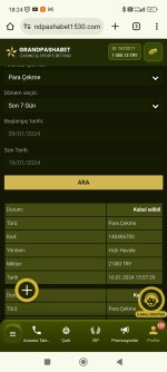 Screenshot_2024-01-16-18-24-00-903_com.android.chrome.jpg
