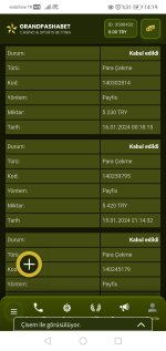 Screenshot_20240117_141910_com.android.chrome.jpg
