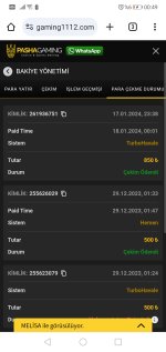 Screenshot_20240118_004909_com.android.chrome.jpg