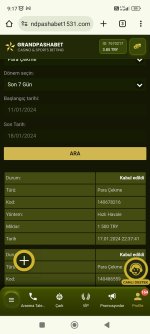 Screenshot_2024-01-18-09-17-21-773_com.android.chrome.jpg