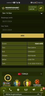 Screenshot_20240120_031212_com.android.chrome.jpg