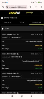 Screenshot_2024-01-19-21-24-32-496_com.android.chrome.jpg