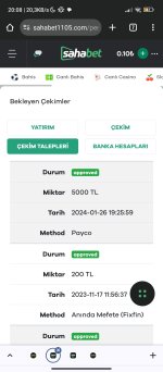 Screenshot_2024-01-26-20-08-33-294_com.android.chrome.jpg