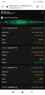 Screenshot_2024-01-28-01-40-51-265_com.android.chrome.jpg
