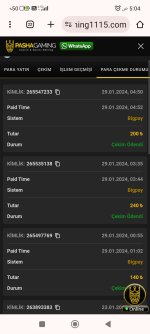 Screenshot_2024-01-29-05-04-45-076_com.android.chrome.jpg
