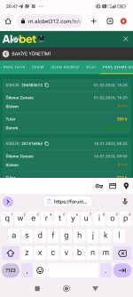 Screenshot_2024-02-01-20-47-27-006_com.android.chrome.jpg